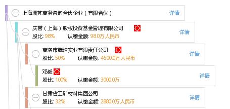 上海洲芃商务咨询合伙企业（有限合伙）深度解析 专业商务咨询的领航者
