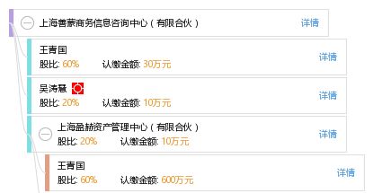 有限合伙与商务咨询 上海善蒙咨询中心的组织架构与行业实践