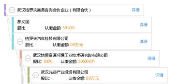 合伙人视角 解读武汉格罗夫商务咨询合伙企业的经营生态