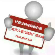 商务咨询服务 企业稳健发展的智慧引擎
